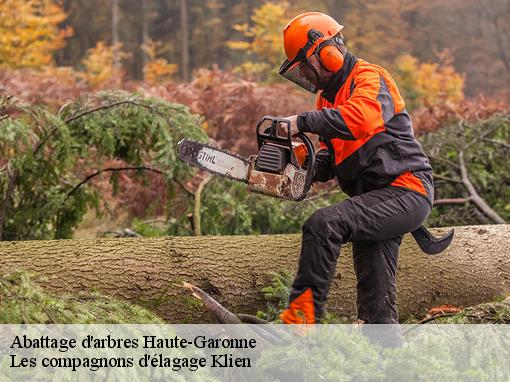 Abattage d'arbres 31 Haute-Garonne Les compagnons d'élagage Klien