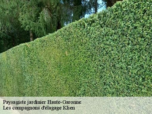Paysagiste jardinier 31 Haute-Garonne  Les compagnons d'élagage Klien