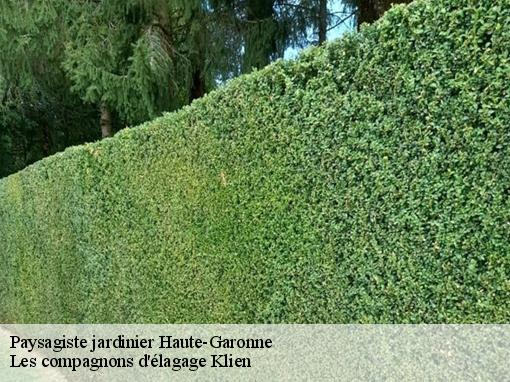 Paysagiste jardinier 31 Haute-Garonne Les compagnons d'élagage Klien