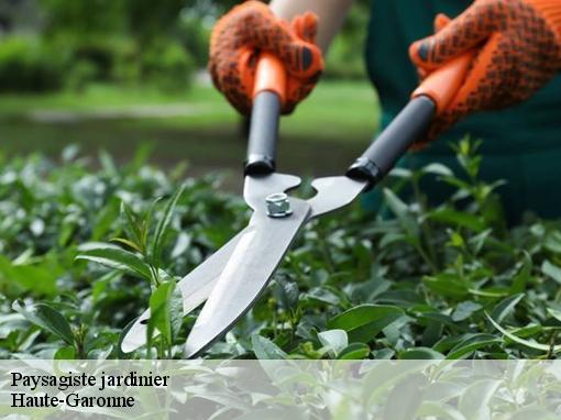 Paysagiste jardinier Haute-Garonne