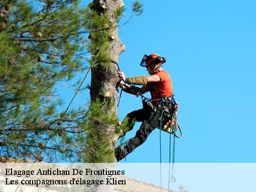 Elagage antichan-de-frontignes-31510 Les compagnons d'élagage Klien
