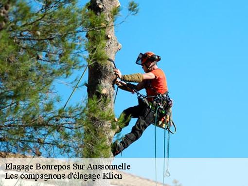 Elagage  bonrepos-sur-aussonnelle-31470 Les compagnons d'élagage Klien