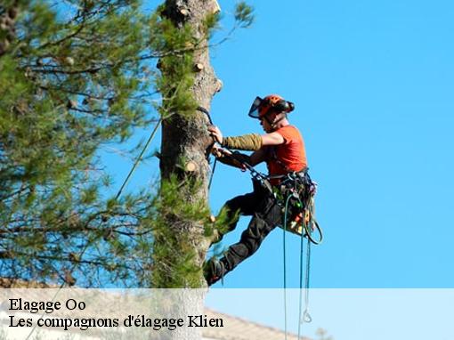 Elagage oo-31110 Les compagnons d'élagage Klien
