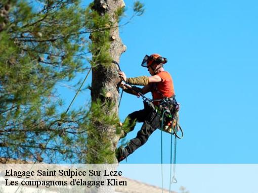 Elagage  saint-sulpice-sur-leze-31410 Les compagnons d'élagage Klien