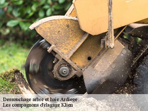 Dessouchage arbre et haie  ardiege-31210 Les compagnons d'élagage Klien