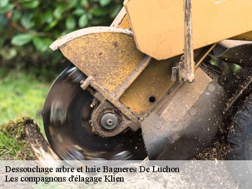 Dessouchage arbre et haie  bagneres-de-luchon-31110 Les compagnons d'élagage Klien