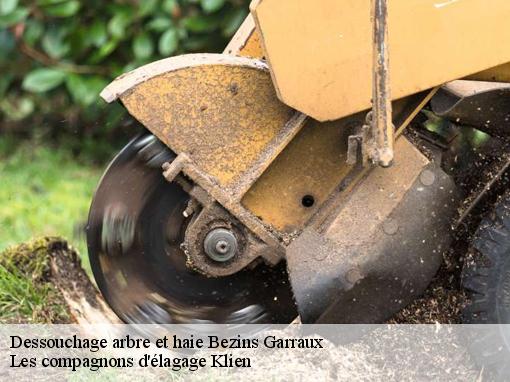 Dessouchage arbre et haie  bezins-garraux-31440 Les compagnons d'élagage Klien