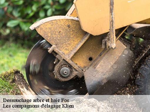 Dessouchage arbre et haie fos-31440 Les compagnons d'élagage Klien
