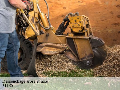 Dessouchage arbre et haie 31160