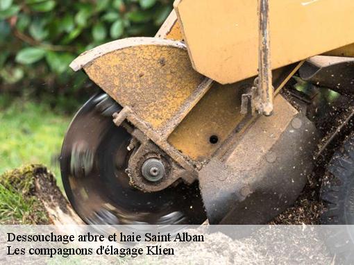 Dessouchage arbre et haie  saint-alban-31140 Les compagnons d'élagage Klien