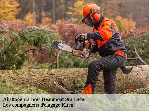 Abattage d'arbres beaumont-sur-leze-31870 Les compagnons d'élagage Klien