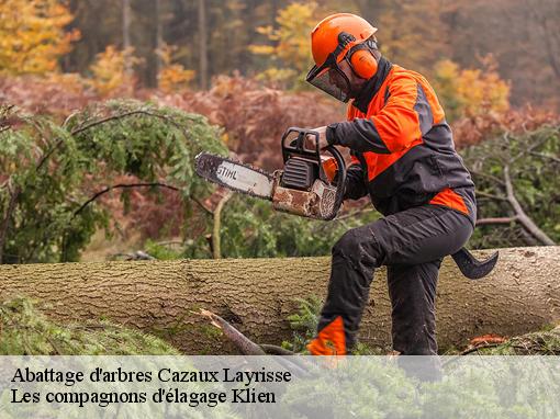Abattage d'arbres cazaux-layrisse-31440 Les compagnons d'élagage Klien