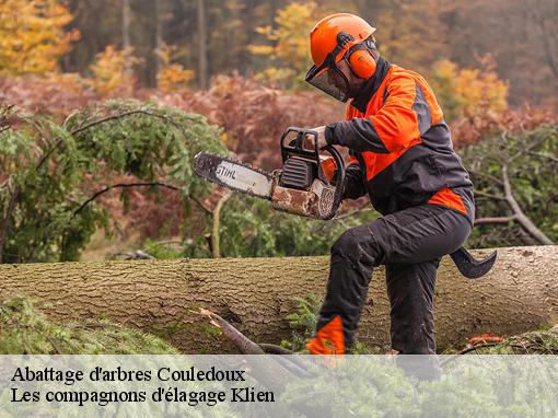 Abattage d'arbres couledoux-31160 Les compagnons d'élagage Klien