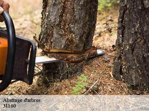 Abattage d'arbres 31160