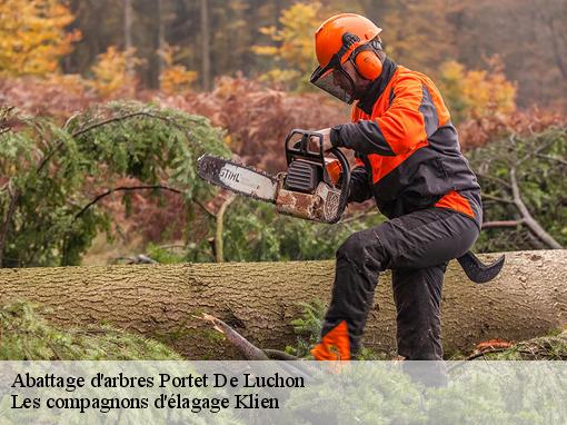 Abattage d'arbres  portet-de-luchon-31110 Les compagnons d'élagage Klien