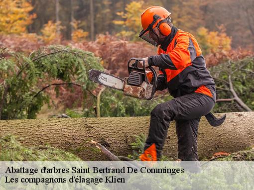 Abattage d'arbres saint-bertrand-de-comminges-31510 Les compagnons d'élagage Klien