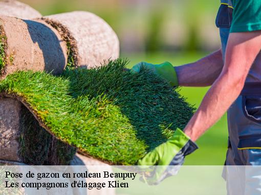 Pose de gazon en rouleau  beaupuy-31850 Les compagnons d'élagage Klien