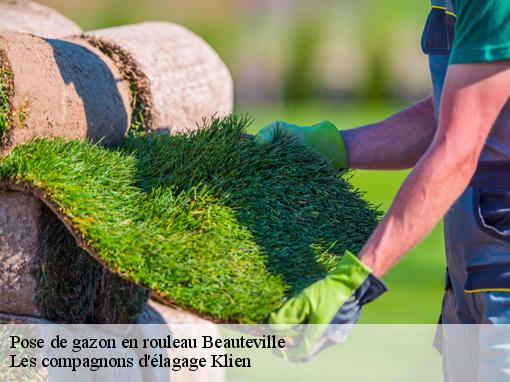 Pose de gazon en rouleau  beauteville-31290 Les compagnons d'élagage Klien