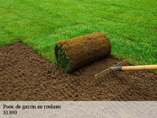 Pose de gazon en rouleau 31390