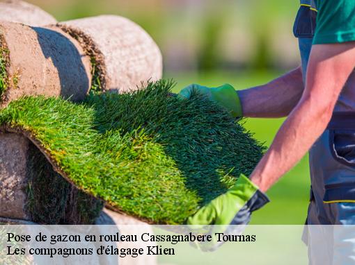 Pose de gazon en rouleau  cassagnabere-tournas-31420 Les compagnons d'élagage Klien