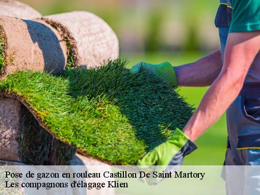 Pose de gazon en rouleau  castillon-de-saint-martory-31360 Les compagnons d'élagage Klien