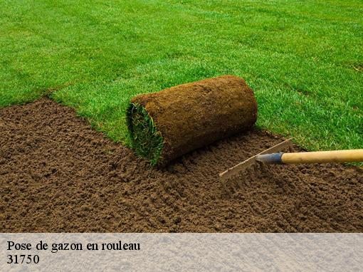 Pose de gazon en rouleau 31750