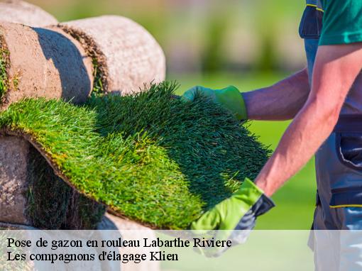 Pose de gazon en rouleau  labarthe-riviere-31800 Les compagnons d'élagage Klien