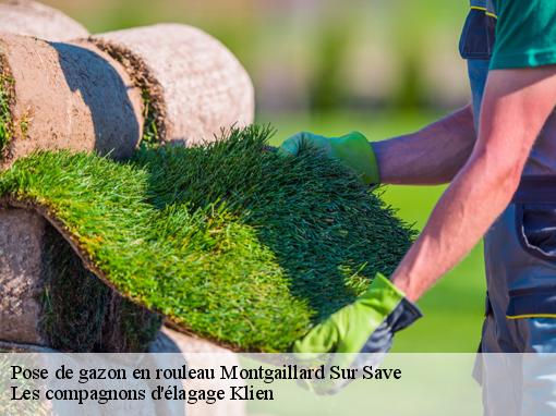 Pose de gazon en rouleau  montgaillard-sur-save-31350 Les compagnons d'élagage Klien