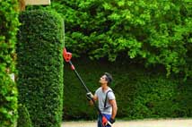 Paysagiste jardinier